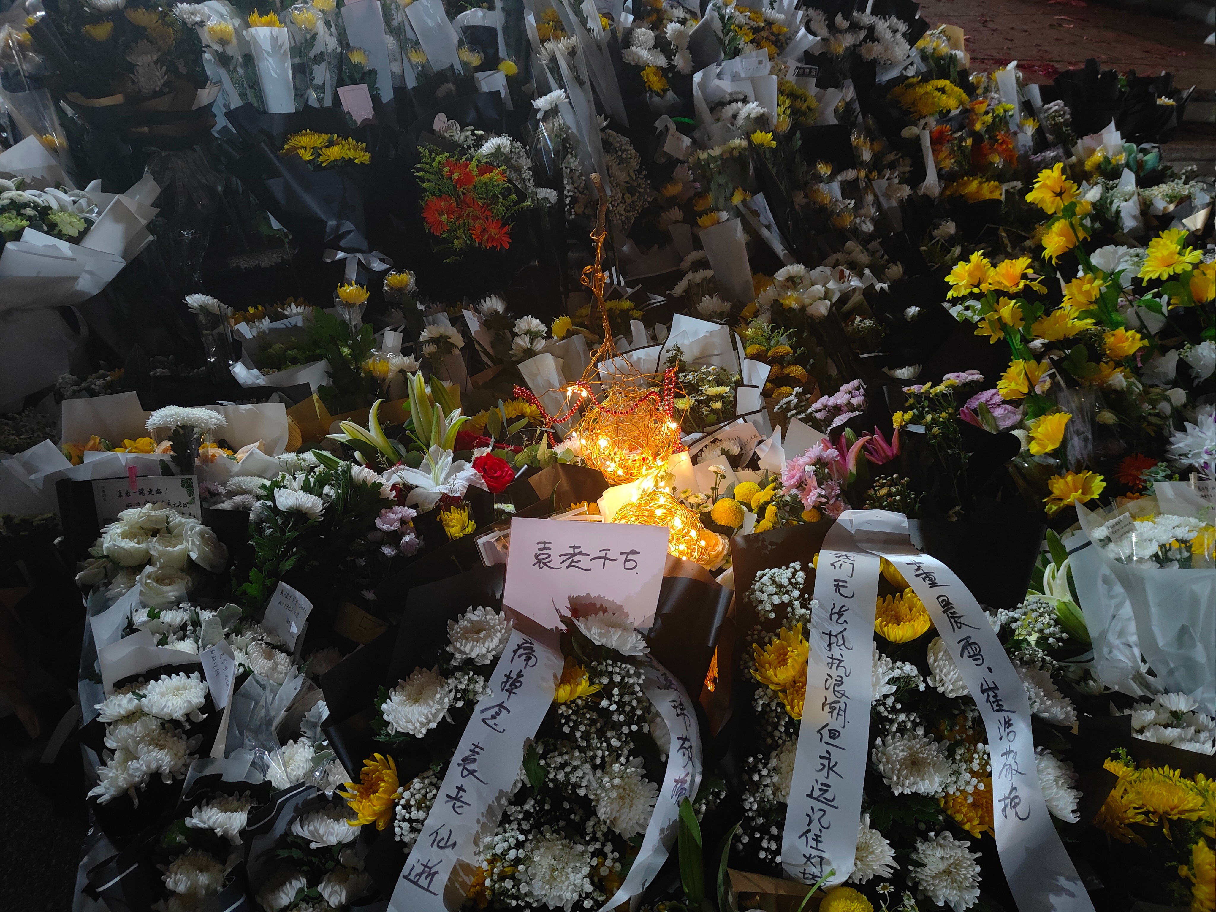 独家采访丨袁隆平在家人歌声中离开