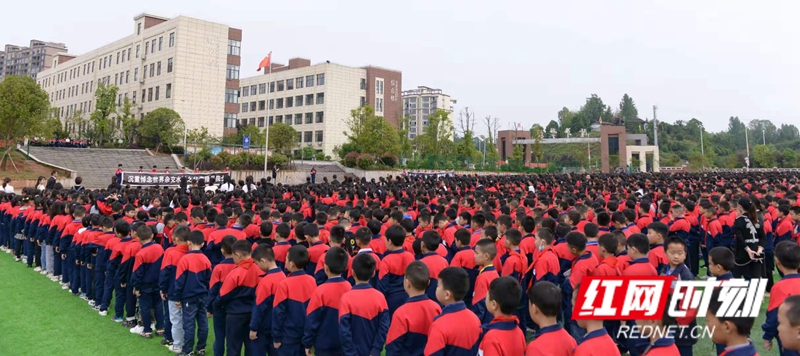 洪江市隆平学校怎么样?举行主题升旗仪式(图2)