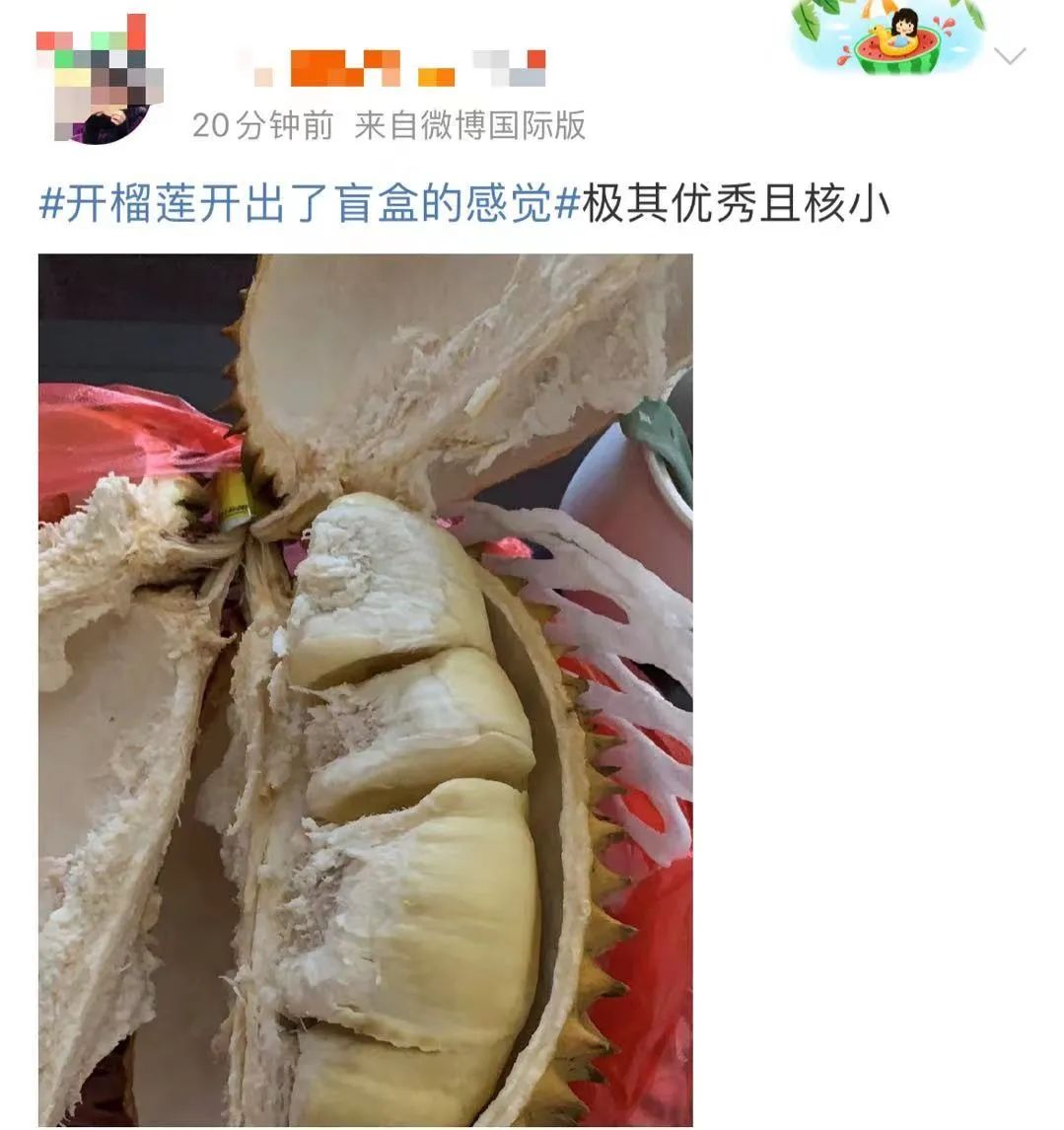 网友真把榴莲当盲盒了，有人开出六瓣大肉，有人开出“柴火”……