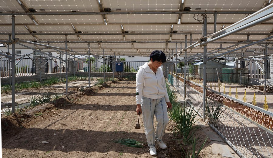内蒙古西部小乡村的乡村振兴之变