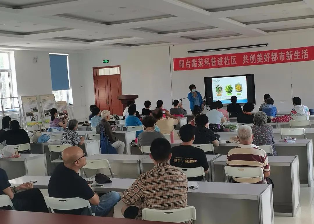 陽臺種菜學起來！沒有想象那么難