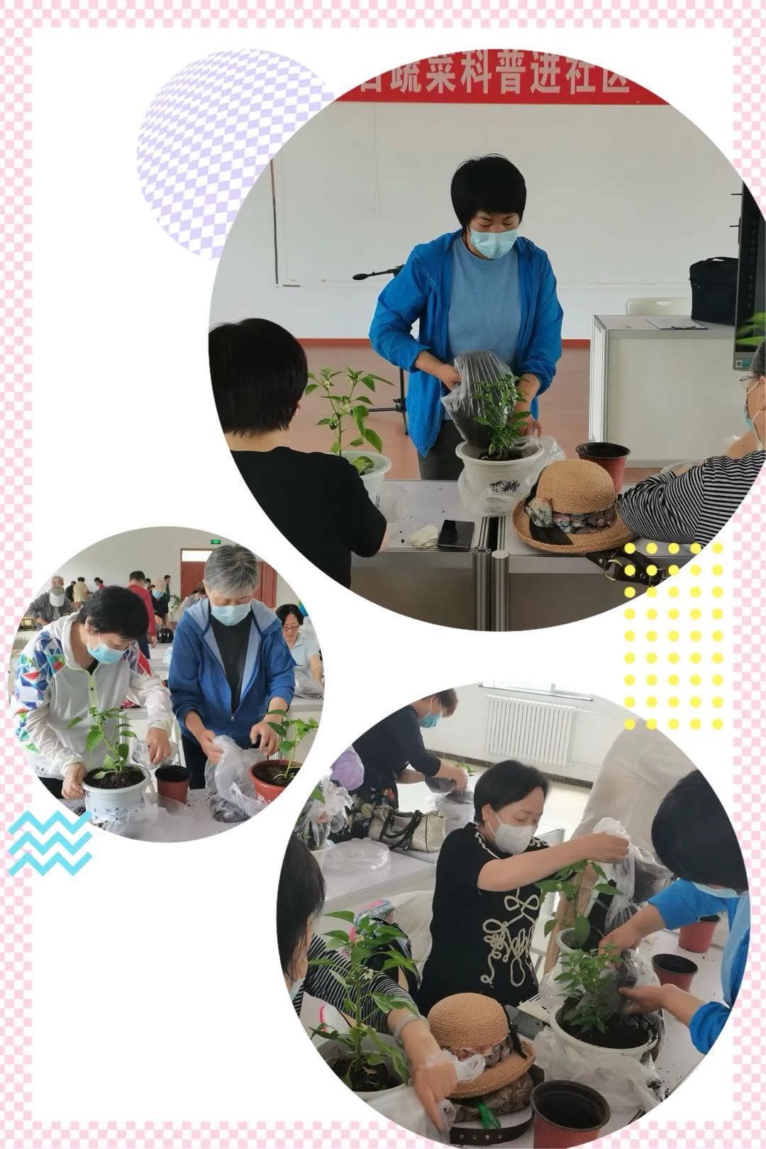 陽臺種菜學起來！沒有想象那么難