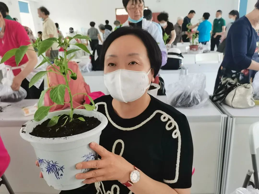 陽臺種菜學起來！沒有想象那么難