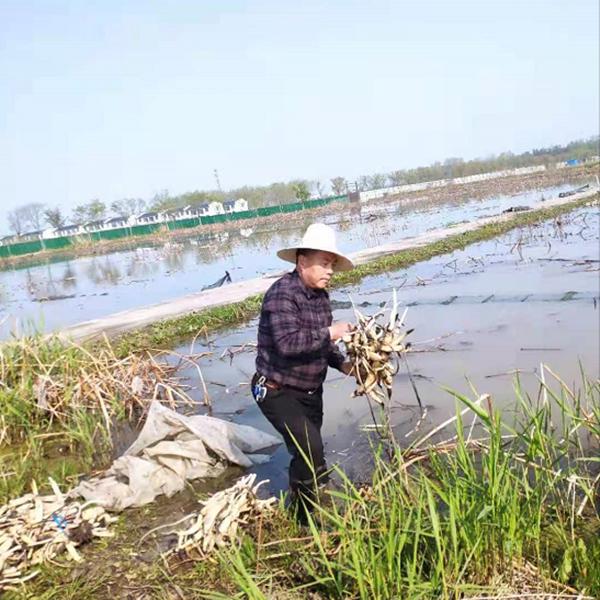 施俊山：退役老兵重拾“田園夢(mèng)”不忘初心創(chuàng)業(yè)富鄉(xiāng)鄰