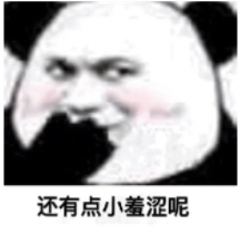 我寫代碼時的小倔強