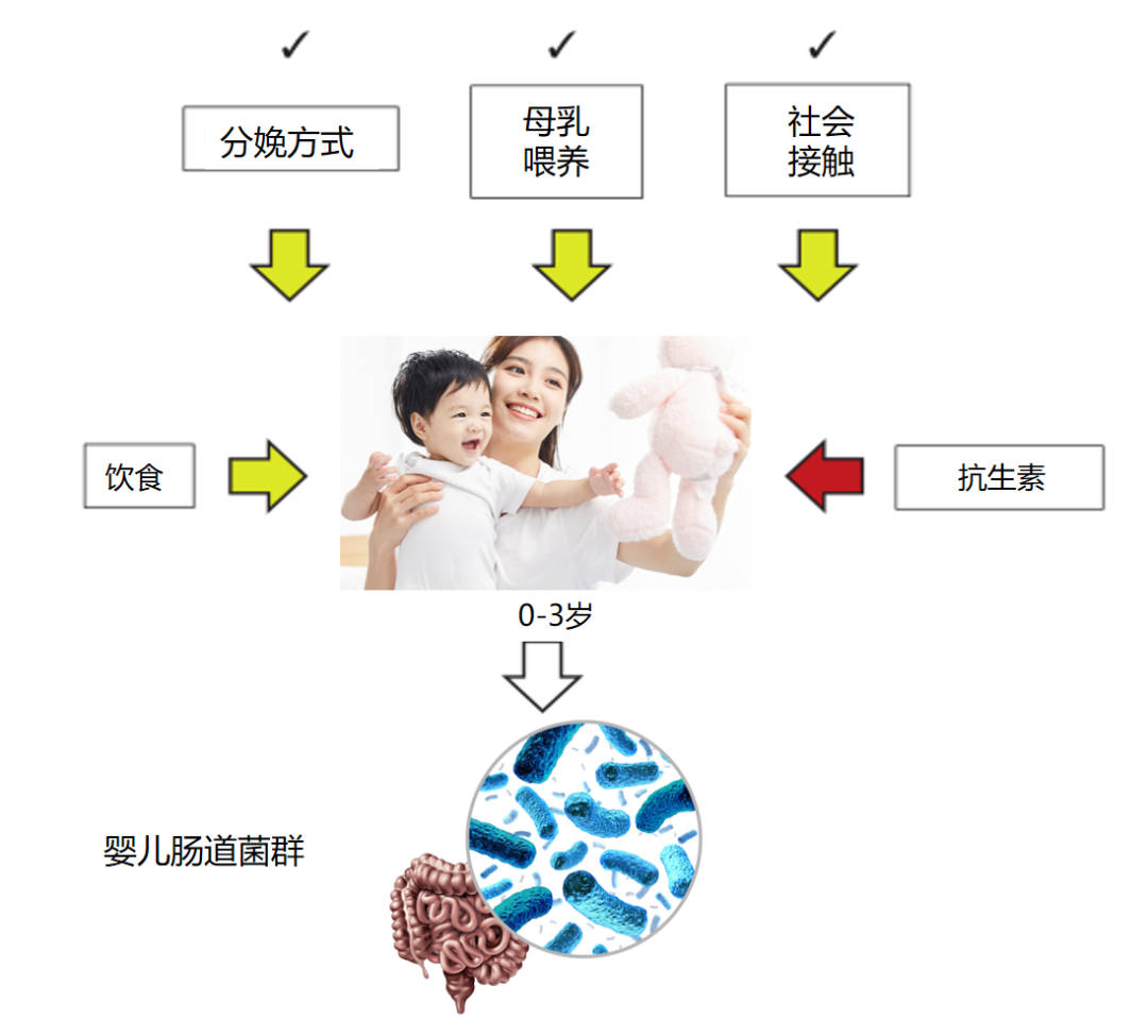 孩子“太干净“更易得白血病？预防白血病的正确打开方式