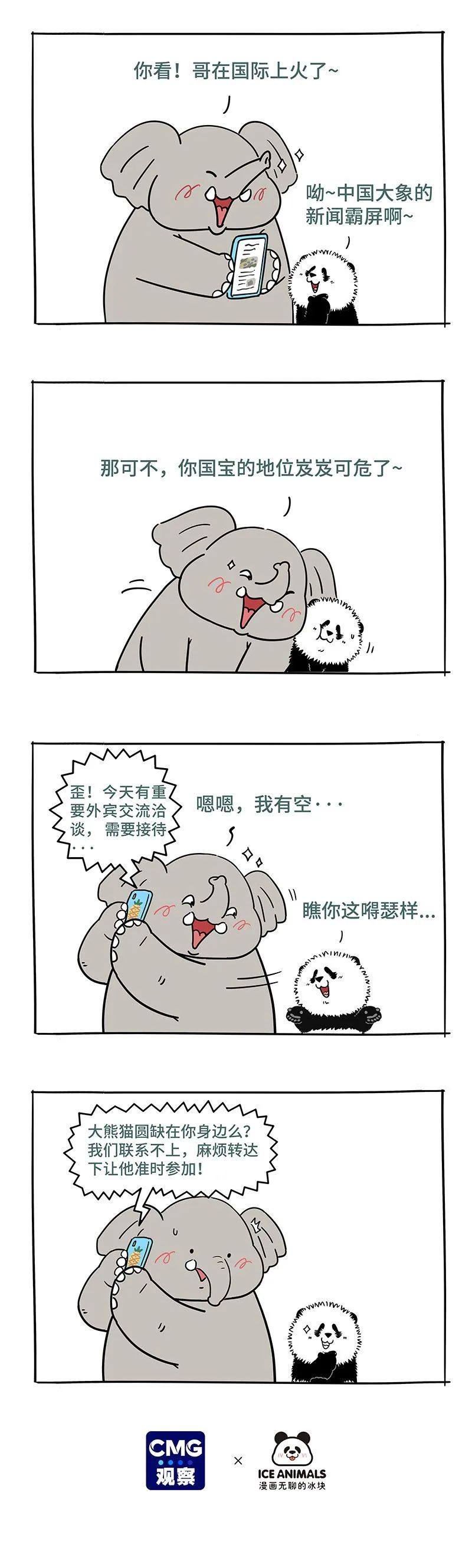 整整齐齐 象 前进可可爱爱来报道 酷生活网