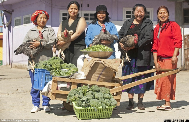“世界最大家庭”户主在印度去世，留下39个妻子94个子女