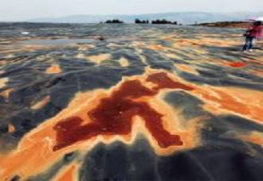 刘科：冷静透视电动车、氢能和我们的未来