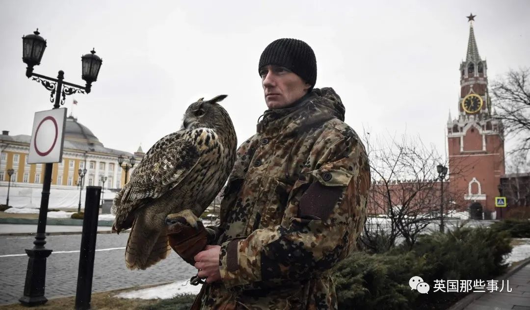 鸟也能给人当"保安"？俄罗斯克姆林宫这支猛禽小队，有点帅啊
