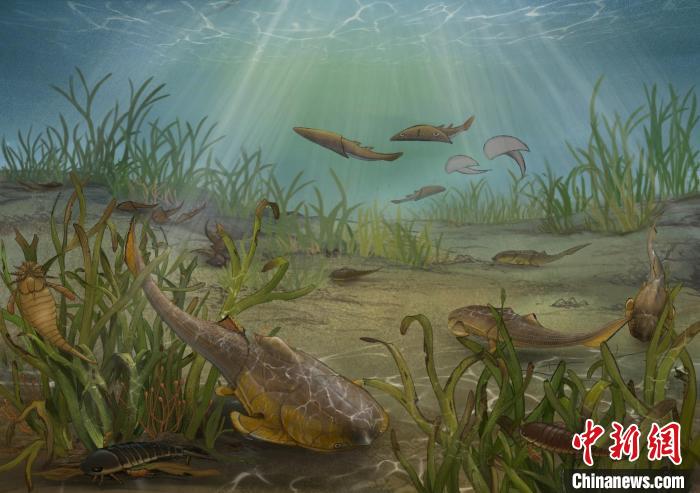 最新发现这条4.2亿年前的鱼 中国科学家实证颌与牙齿早期演化