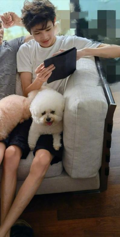 袁咏仪晒14岁儿子帅照，烫卷发似混血，身高直逼张智霖，大长腿吸睛