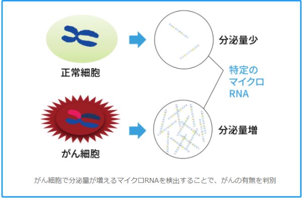 日本东芝“滴血测癌”技术最快今年商用，1000 元测 13 种癌症