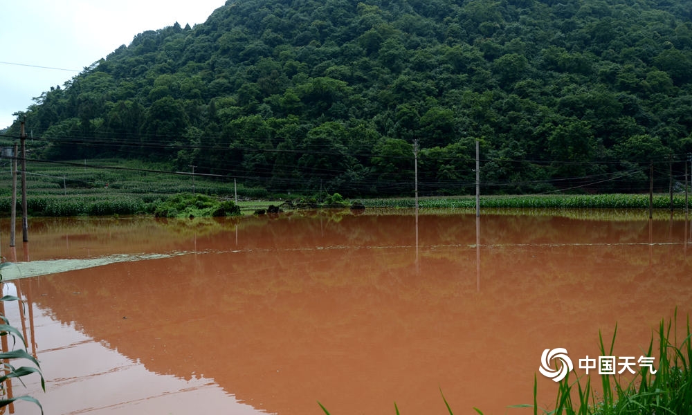 百色市隆林县隆或镇24日凌晨遇特大暴雨  来源：天气推送