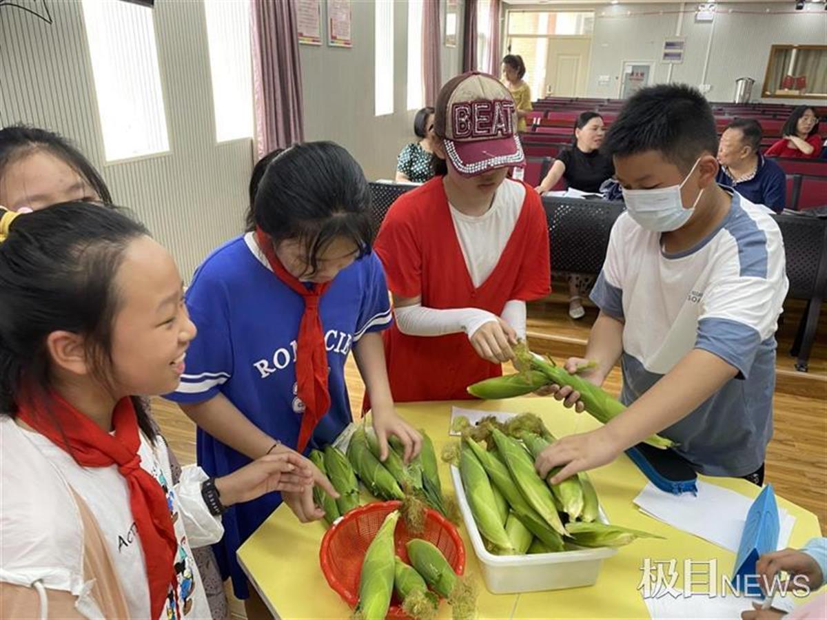 武珞路实验小学怎么样?采摘自己种的玉米(图5)