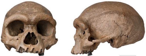 ��ý���й�����14.6����ǰ�����ˡ�