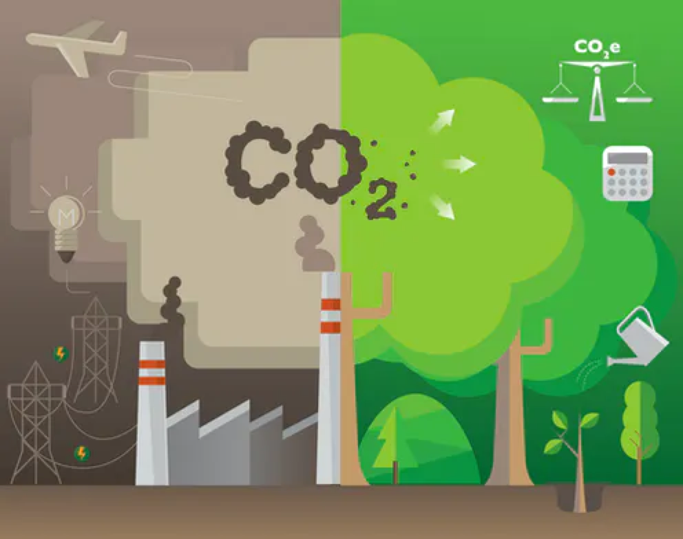 碳中和背景下的国际绿色技术发展态势分析