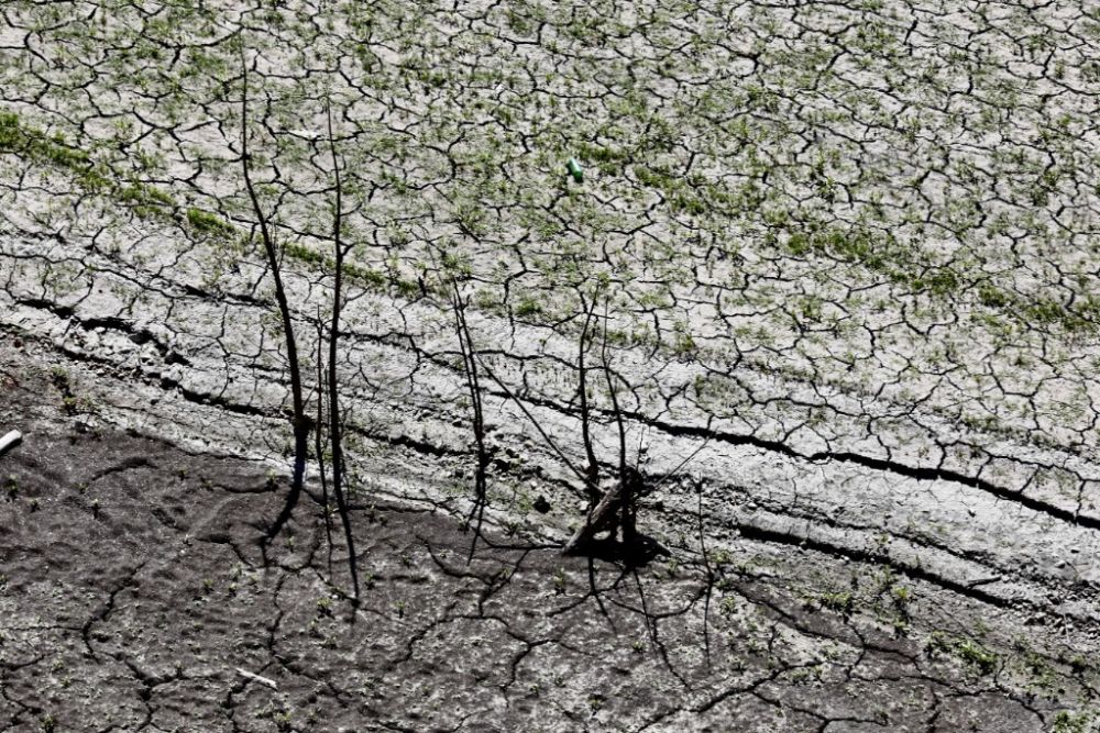 气温40℃+，却买不到空调，这些美国人因高温死去