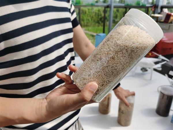 袁隆平团队重视的“海水稻”浙江就有，大米口感没优势产量也不高，但非常厉害