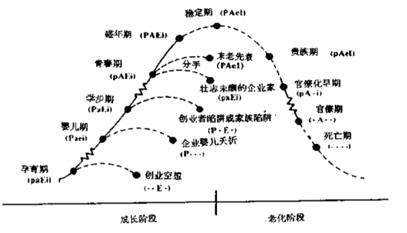 抓住这波「微品牌」浪潮