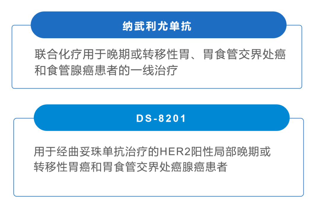 2021 年上半年FDA批准的抗肿瘤药物一览