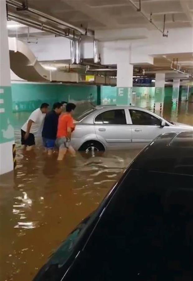 ����һ���³����&ldquo;��Ӿ��&rdquo;������С������س���ҵ��Ȩ�����