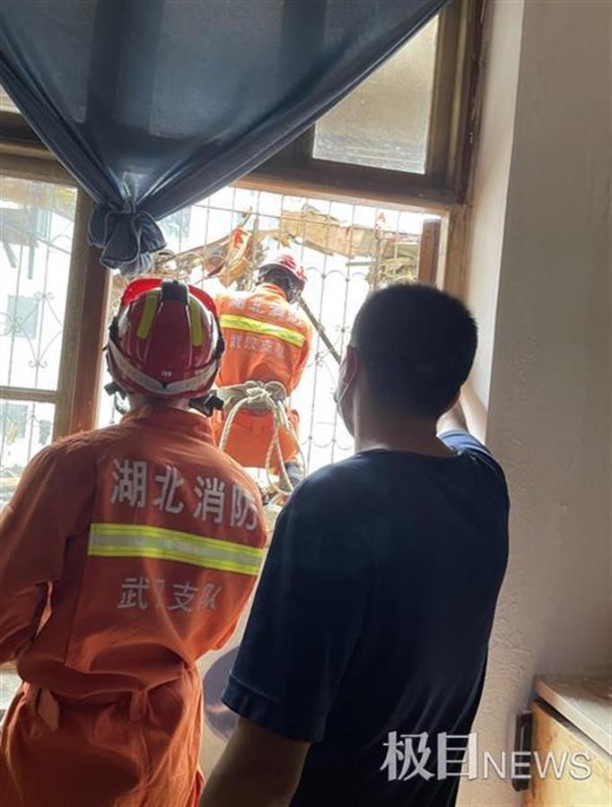 武汉一房屋空置6年，阳台上竟长出2棵大树