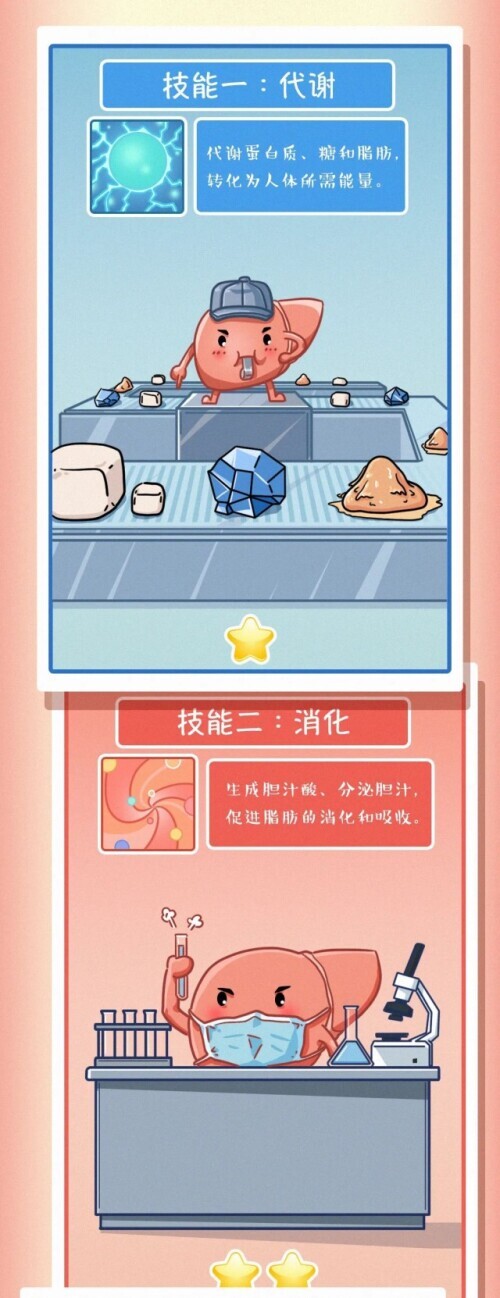 肝脏受伤全过程