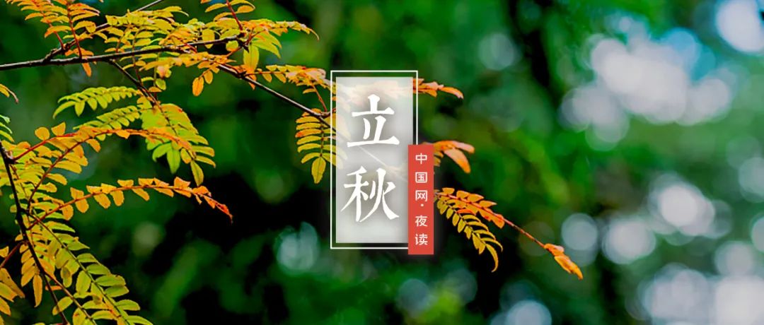 夜读｜立秋：迟迟白日晚 袅袅秋风生