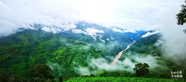 奇特又罕见！它叫“斑鱼狗”却是只鸟！首次在保山发现