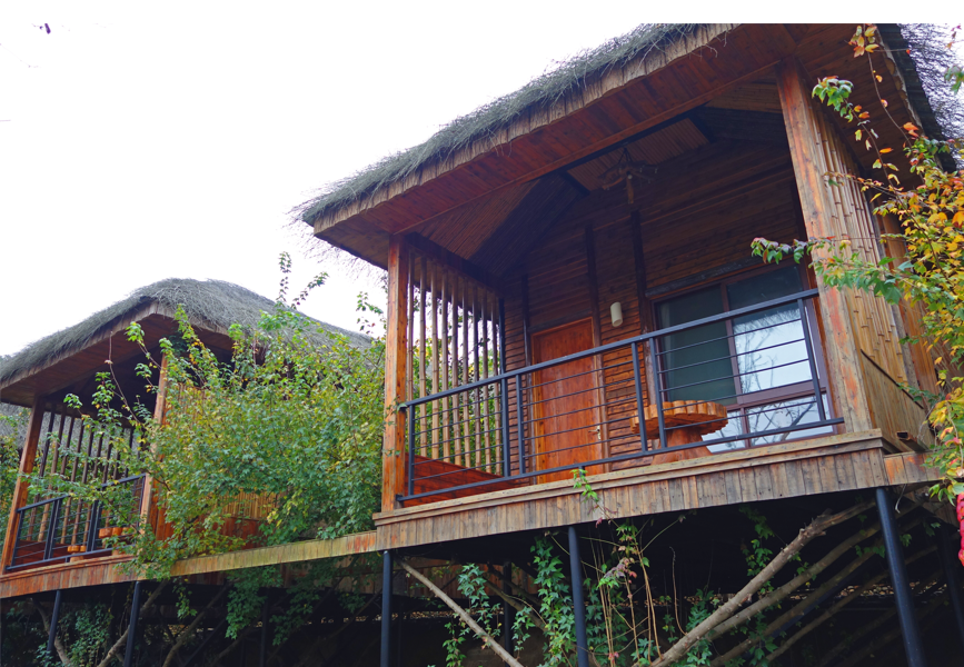 一个被退订的夏天：德尔塔病毒重创民宿行业，张家界店老板400个订单被取消