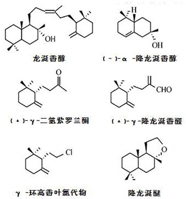 皇帝也难求——嘉靖宫中的龙涎香