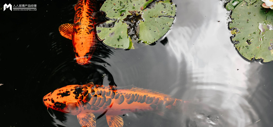 我在快手当锦鲤，十个月涨粉1000万