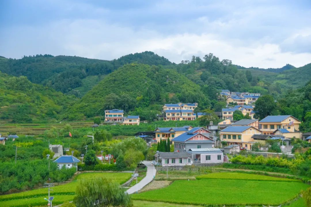 采摘游玩指南价格:桃子采摘5元/斤"进园免费吃"地址:播州区茅栗镇金山