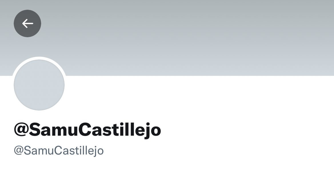 卡斯蒂列霍被球迷辱骂关闭推特，米兰南看台用歌声支持了他