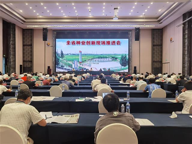 打基础、重长远,扬优势、补短板!这场会议为湖北打好种业翻身仗“划重点”