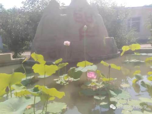 調(diào)兵山市第四小學(xué)教師節(jié)系列活動(dòng)(圖4) 調(diào)兵山市第四小學(xué)教師節(jié)系列活動(dòng)(圖4)