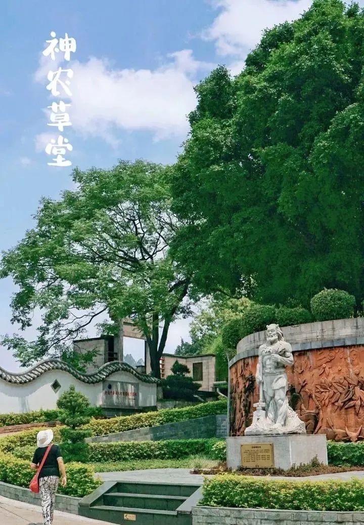 目标：国家5A级！广州新建中医药文化景区