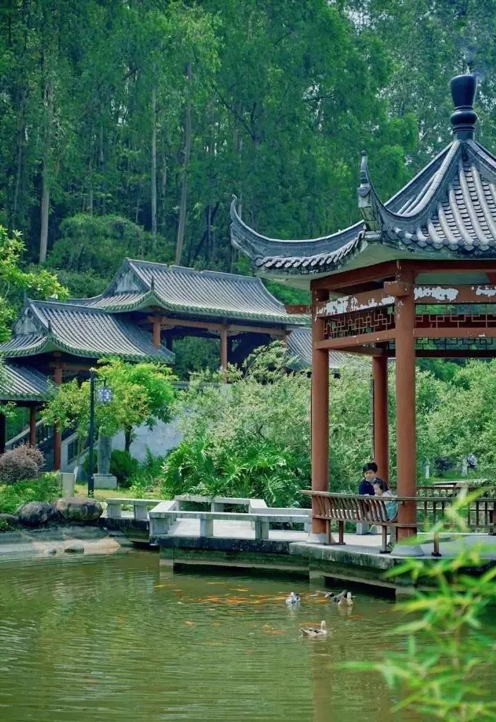 目标：国家5A级！广州新建中医药文化景区