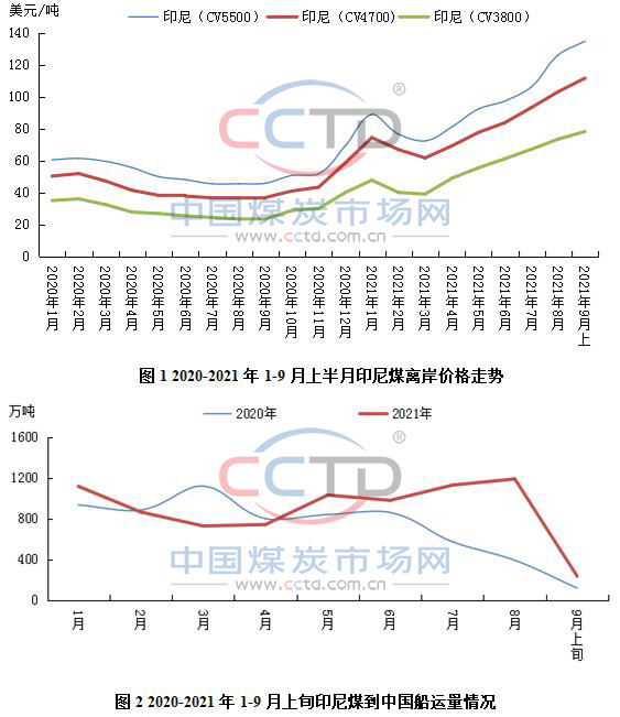 九月已过半 印尼煤价何时转向？