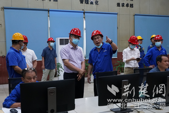 中国有色集团党委现场督导中色大冶环保问题整改
