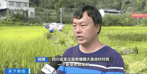 中國糧倉丨兩臺收割機60萬元他說值！山地丘陵遍布的四川，大型農(nóng)機也大顯身手