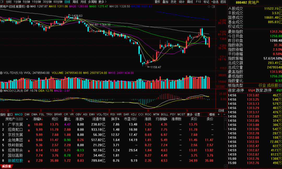 今日股市行情分析最新(涨跌及开盘情况分析)