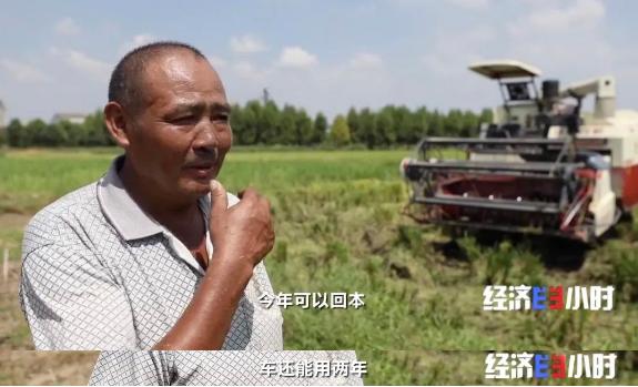 丰收在望！他一手种起200多亩稻田，年收入超20万！种田，这么“赚”→