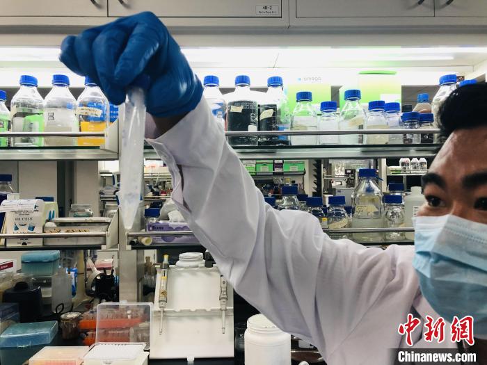 国际重大颠覆性突破 中国首次在实验室实现人工合成淀粉