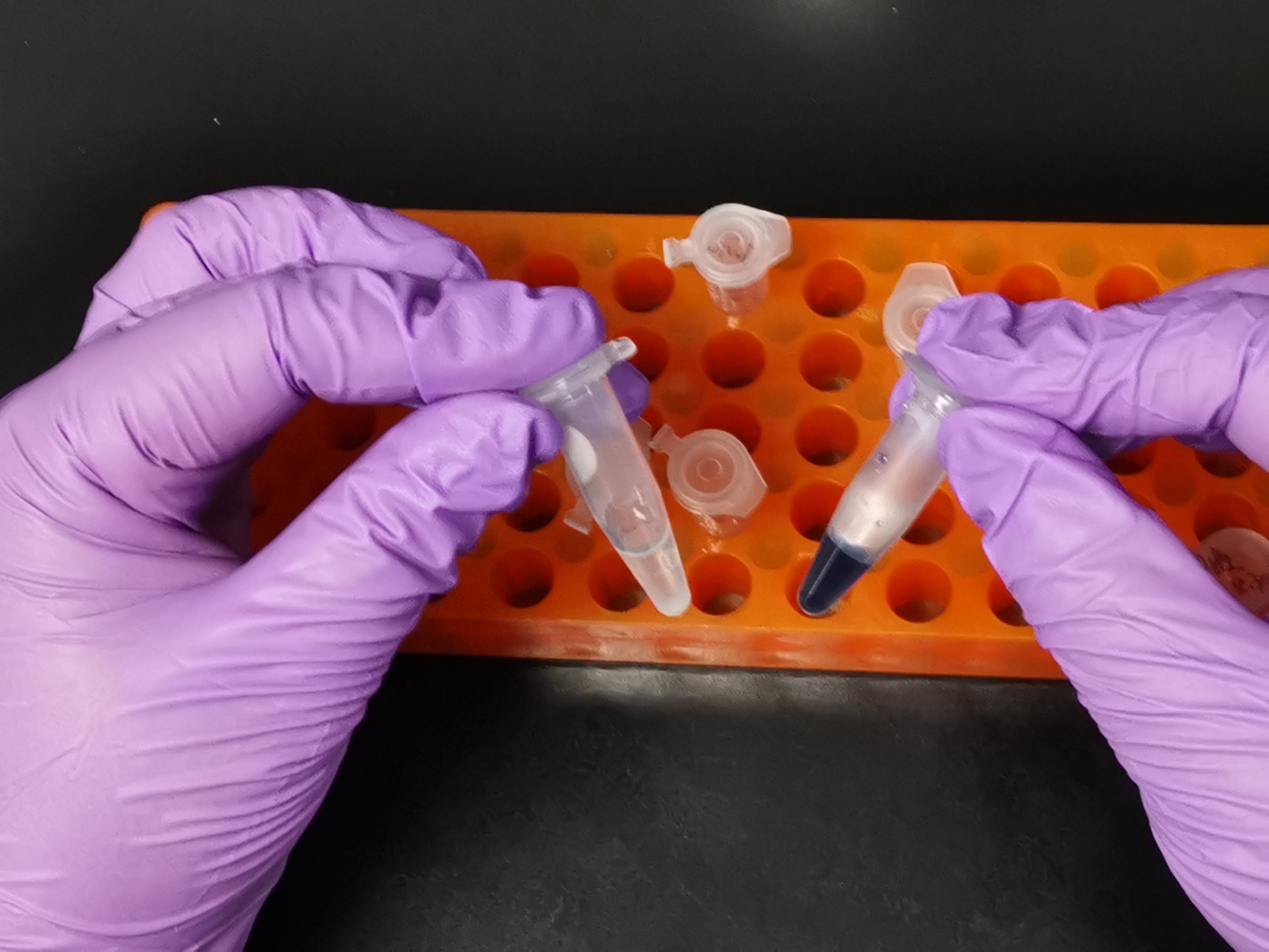 ҹѧʵִӶ̼۵ȫϳɣΪ״