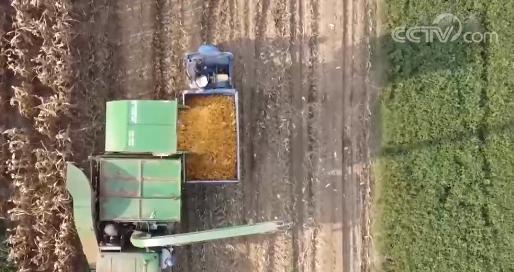 �ҹ������˹��ϳ�ȡ���ش�ͻ�� ��ϸ�����