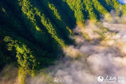 宜宾蜀南竹海现竹海云海美如仙境