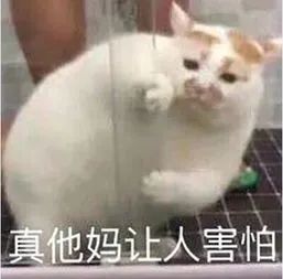 网红lu一丝离婚反转：谁有钱还干自媒体这么苦的活啊
