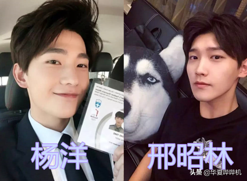 娛樂圈撞臉的明星有多像？看完對比圖之后，我陷入了沉思